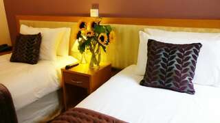 Отель The Pier Hotel Лимерик Двухместный номер с 2 отдельными кроватями-5