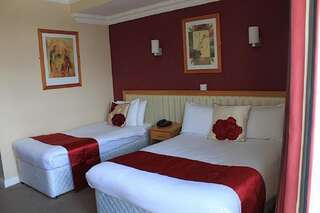 Отель The Pier Hotel Лимерик Двухместный номер с 2 отдельными кроватями-8